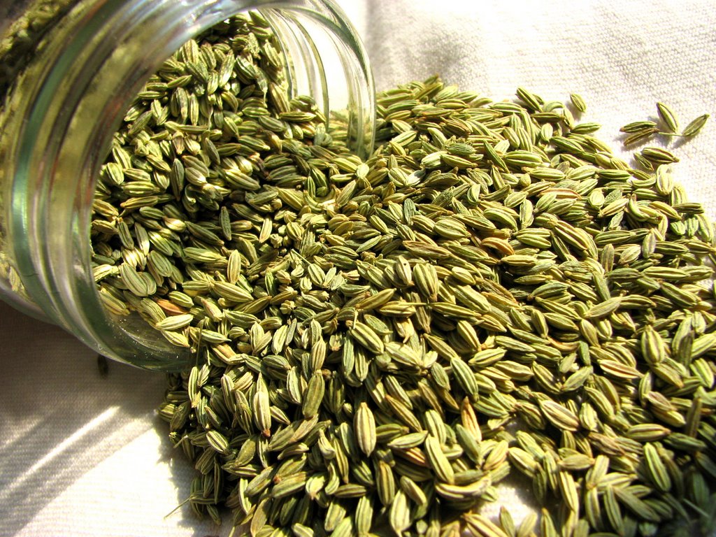 Fennel Seeds - Spices & Premix 200gm - Image 1