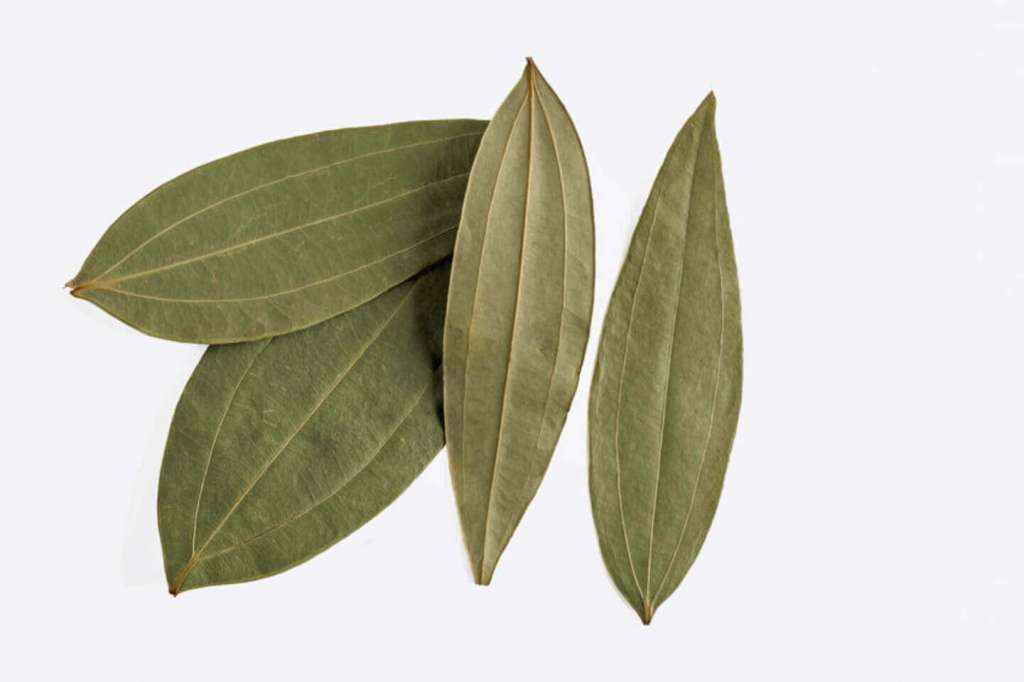 Bay Leaves - Spices & Premix 50gm - Image 1